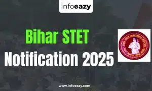 Bihar STET Notification 2025