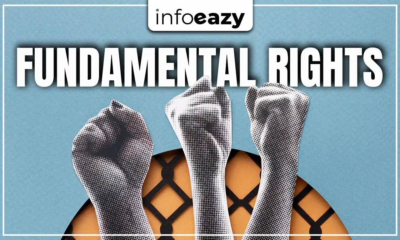Fundamental Rights