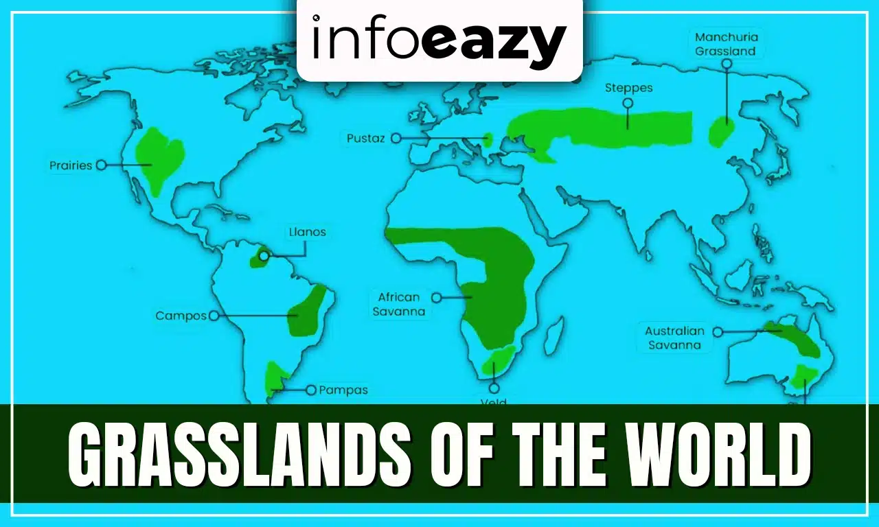 Grasslands of the World