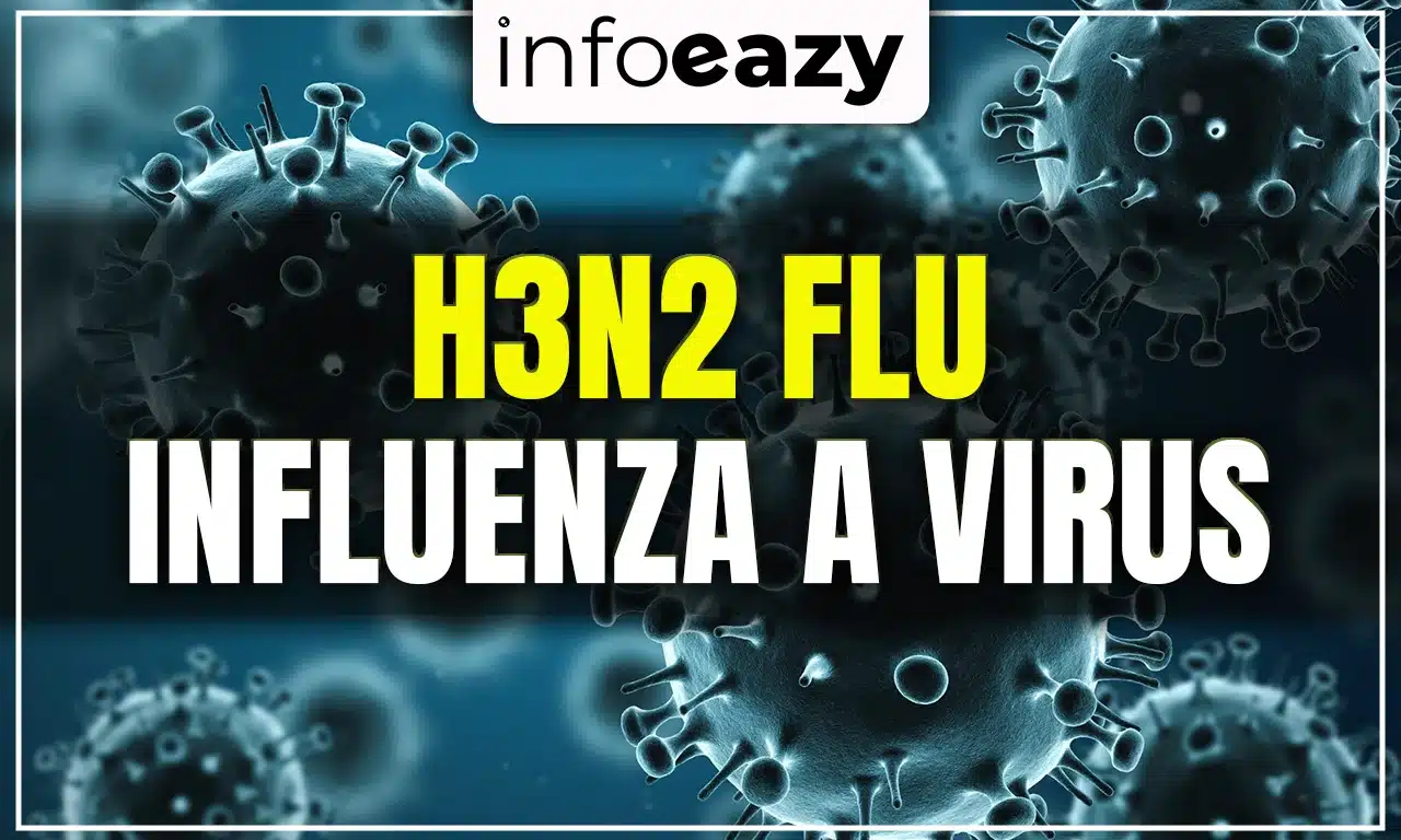 H3N2 Flu Influenza A Virus