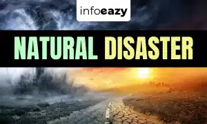 Natural and Man-Made Disasters